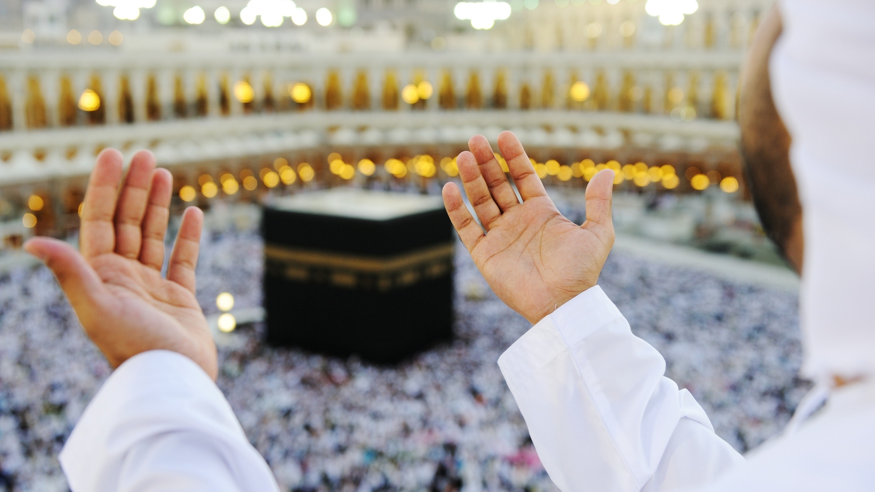 Flyland travel background 1